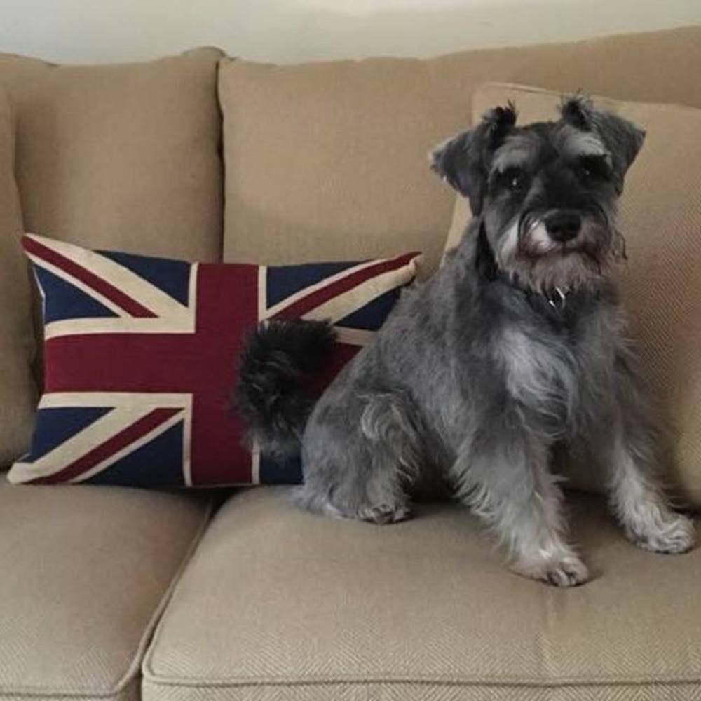 Meet your Posher, Penny sj